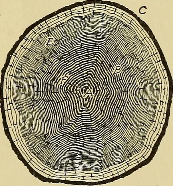 An illustration from Cyclopedia of architecture, carpentry, and building; a general reference work .., 1912, leaf 24