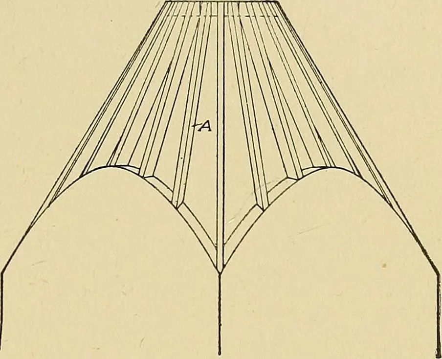 An illustration from Cyclopedia of architecture, carpentry, and building; a general reference work .., 1912, leaf 245