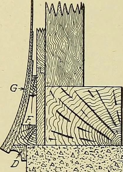 An illustration from Cyclopedia of architecture, carpentry, and building; a general reference work .., 1912, leaf 256