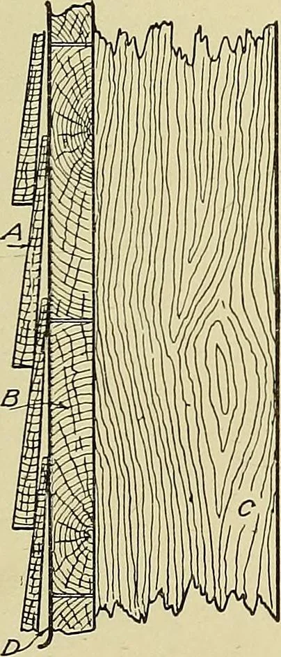 An illustration from Cyclopedia of architecture, carpentry, and building; a general reference work .., 1912, leaf 257