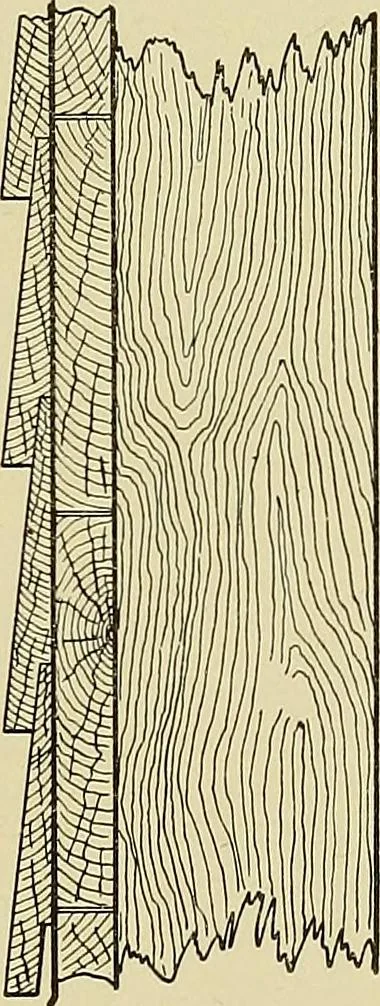 An illustration from Cyclopedia of architecture, carpentry, and building; a general reference work .., 1912, leaf 257