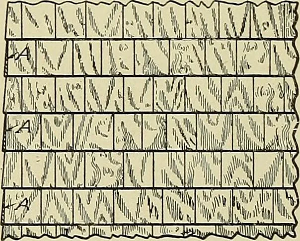 An illustration from Cyclopedia of architecture, carpentry, and building; a general reference work .., 1912, leaf 258