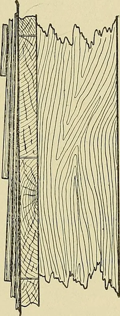 An illustration from Cyclopedia of architecture, carpentry, and building; a general reference work .., 1912, leaf 259
