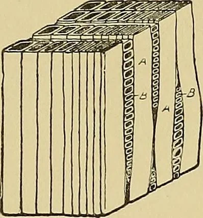 An illustration from Cyclopedia of architecture, carpentry, and building; a general reference work .., 1912, leaf 27