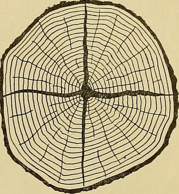 An illustration from Cyclopedia of architecture, carpentry, and building; a general reference work .., 1912, leaf 29