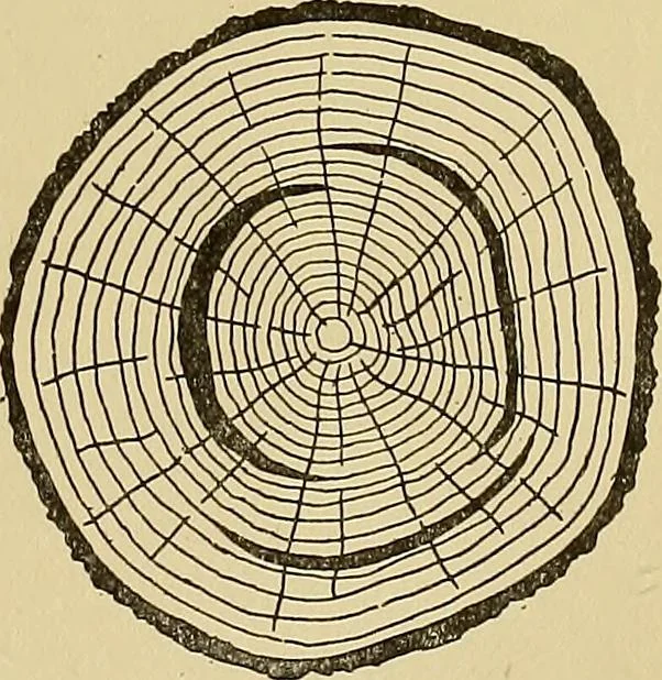 An illustration from Cyclopedia of architecture, carpentry, and building; a general reference work .., 1912, leaf 29