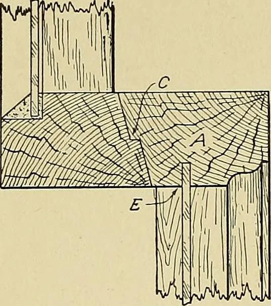 An illustration from Cyclopedia of architecture, carpentry, and building; a general reference work .., 1912, leaf 292