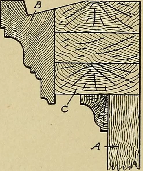 An illustration from Cyclopedia of architecture, carpentry, and building; a general reference work .., 1912, leaf 318