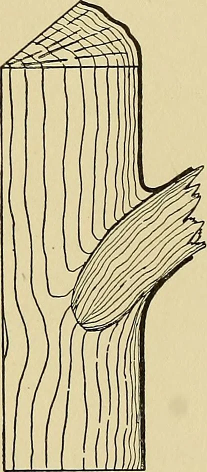An illustration from Cyclopedia of architecture, carpentry, and building; a general reference work .., 1912, leaf 32