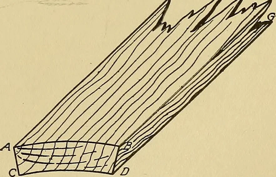 An illustration from Cyclopedia of architecture, carpentry, and building; a general reference work .., 1912, leaf 33