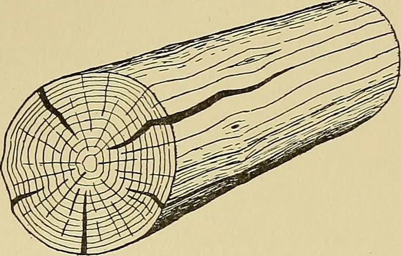 An illustration from Cyclopedia of architecture, carpentry, and building; a general reference work .., 1912, leaf 34