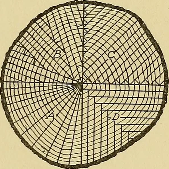 An illustration from Cyclopedia of architecture, carpentry, and building; a general reference work .., 1912, leaf 35