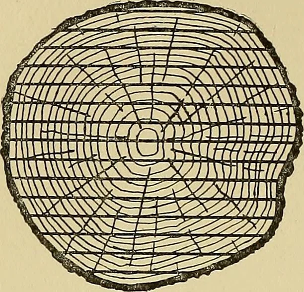 An illustration from Cyclopedia of architecture, carpentry, and building; a general reference work .., 1912, leaf 36
