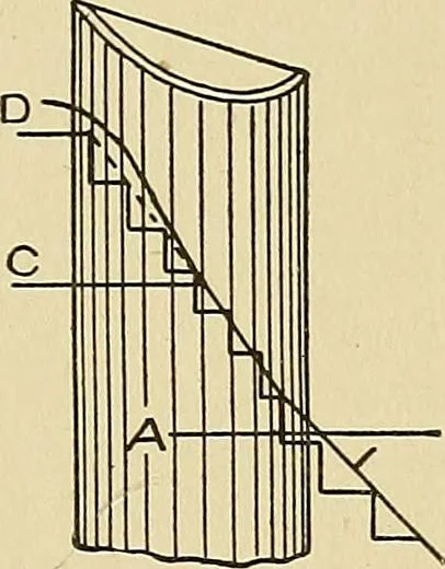 An illustration from Cyclopedia of architecture, carpentry, and building; a general reference work .., 1912, leaf 371