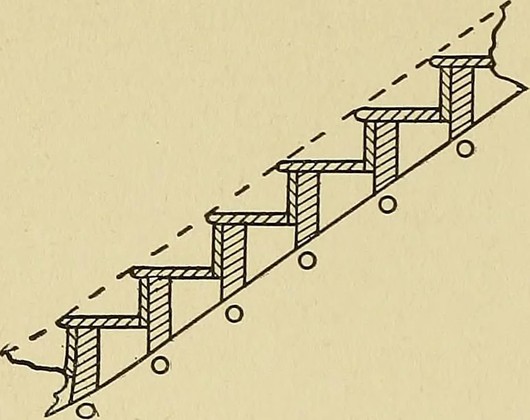 An illustration from Cyclopedia of architecture, carpentry, and building; a general reference work .., 1912, leaf 374