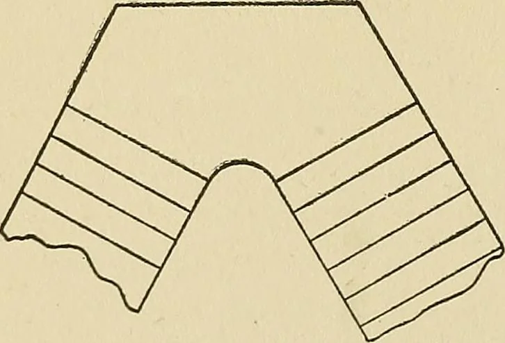 An illustration from Cyclopedia of architecture, carpentry, and building; a general reference work .., 1912, leaf 374