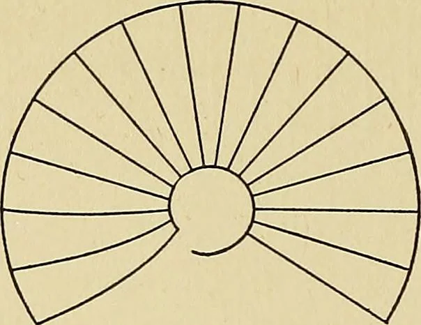 An illustration from Cyclopedia of architecture, carpentry, and building; a general reference work .., 1912, leaf 376