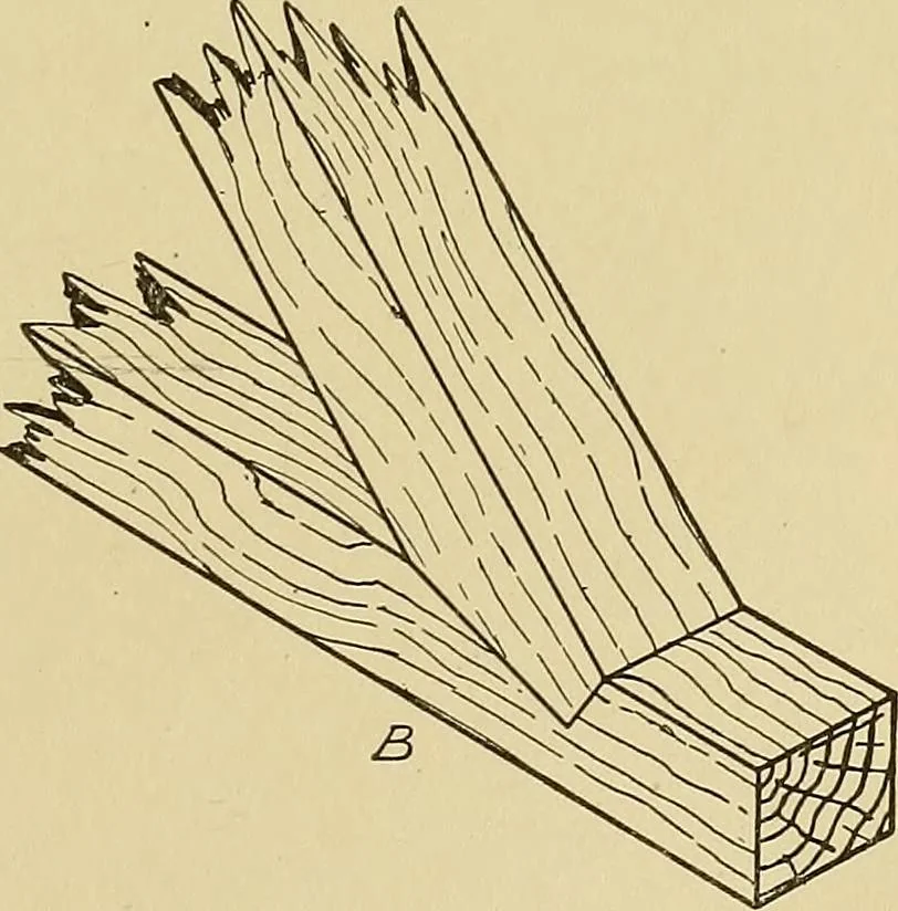 An illustration from Cyclopedia of architecture, carpentry, and building; a general reference work .., 1912, leaf 79
