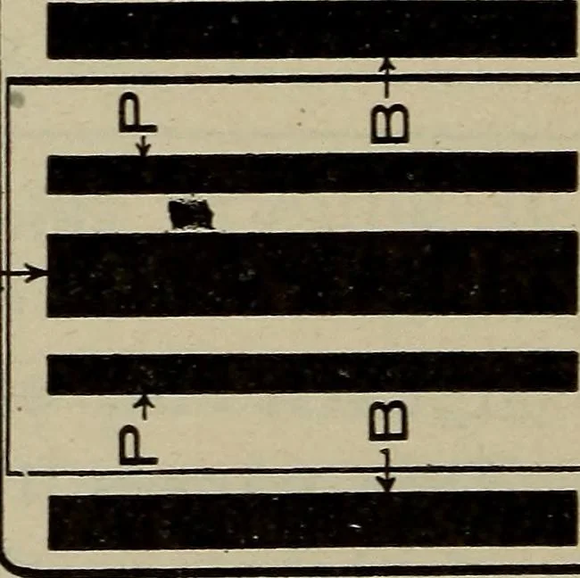 An illustration from Cyclopedia of locomotive engineering, with examination questions and answers; a practical manual on the construction care and management of modern locomotives, 1916, leaf 119