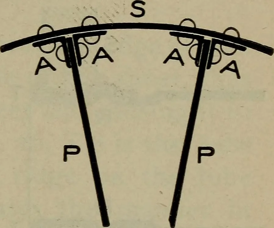 An illustration from Cyclopedia of locomotive engineering, with examination questions and answers; a practical manual on the construction care and management of modern locomotives, 1916, leaf 54