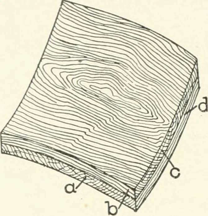 An illustration from Cyclopedia of mechanical engineering; a general reference work. Editor-in-chief Howard Monroe Raymond. Assisted by a corps of mechanical engineers, technical experts, and designers of the highest professional standing, 1908, leaf 27