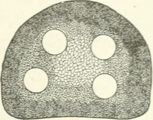 An illustration from Cyclopedia of mechanical engineering; a general reference work. Editor-in-chief Howard Monroe Raymond. Assisted by a corps of mechanical engineers, technical experts, and designers of the highest professional standing, 1908, leaf 286