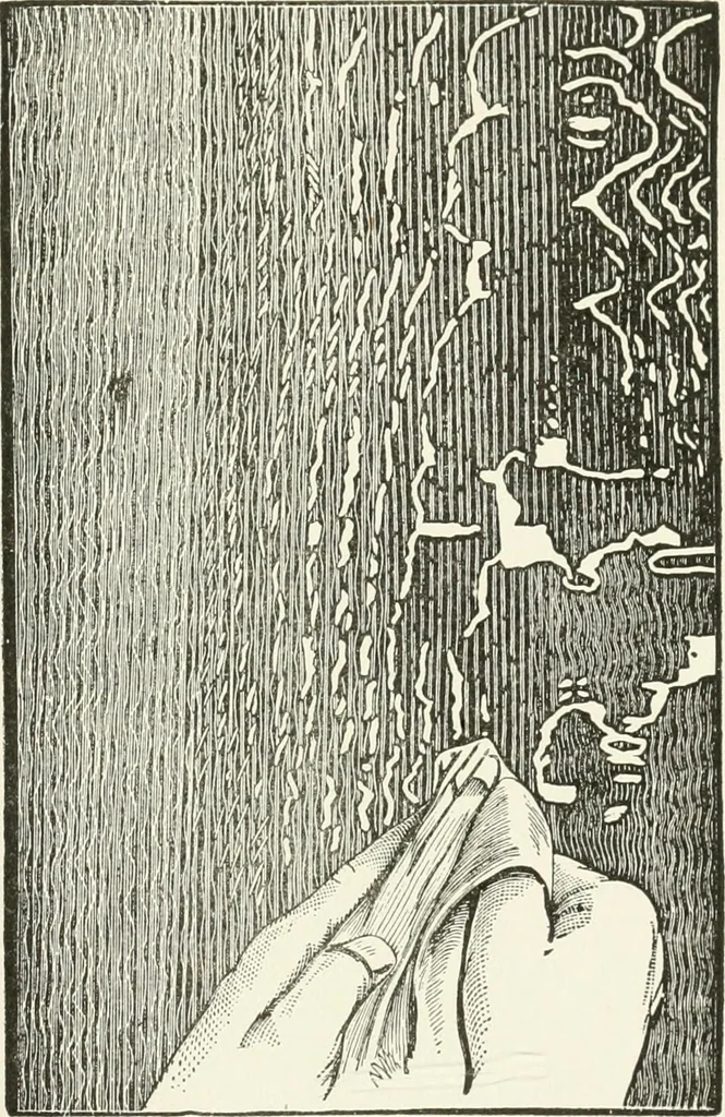 An illustration from Cyclopedia of painting : containing useful and valuable information on the following subjects : adulteration of paint, blistering of paint, brushes, calcimining, carriage painting, china painting, colors, color harmony, color mixing, color testing, exterior painting, gilding, graining, house painting, marbling, mildew, oils and driers, oil painting on glass, painting a bath tub, painting in distemper, paperhanger's tools, paperhanging, pigments, plain oil painting, primary colors, priming, scenic painting, sign painting, stains, staining, stencilling, turpentine, varnishes, varnishing, water color painting, when not to paint, practical points on painting, useful information, 1908, leaf 197
