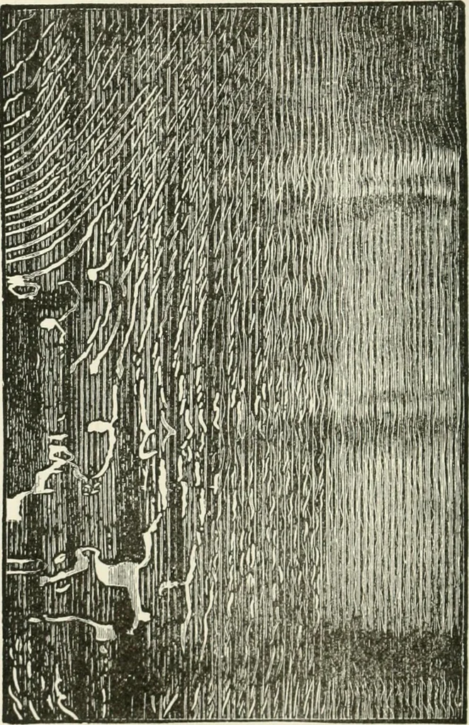 An illustration from Cyclopedia of painting : containing useful and valuable information on the following subjects : adulteration of paint, blistering of paint, brushes, calcimining, carriage painting, china painting, colors, color harmony, color mixing, color testing, exterior painting, gilding, graining, house painting, marbling, mildew, oils and driers, oil painting on glass, painting a bath tub, painting in distemper, paperhanger's tools, paperhanging, pigments, plain oil painting, primary colors, priming, scenic painting, sign painting, stains, staining, stencilling, turpentine, varnishes, varnishing, water color painting, when not to paint, practical points on painting, useful information, 1908, leaf 198