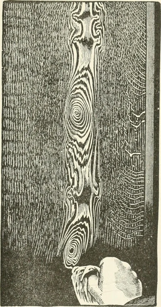 An illustration from Cyclopedia of painting : containing useful and valuable information on the following subjects : adulteration of paint, blistering of paint, brushes, calcimining, carriage painting, china painting, colors, color harmony, color mixing, color testing, exterior painting, gilding, graining, house painting, marbling, mildew, oils and driers, oil painting on glass, painting a bath tub, painting in distemper, paperhanger's tools, paperhanging, pigments, plain oil painting, primary colors, priming, scenic painting, sign painting, stains, staining, stencilling, turpentine, varnishes, varnishing, water color painting, when not to paint, practical points on painting, useful information, 1908, leaf 199