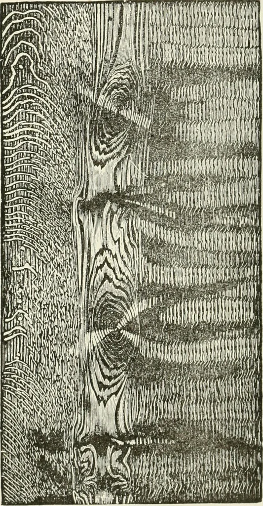 An illustration from Cyclopedia of painting : containing useful and valuable information on the following subjects : adulteration of paint, blistering of paint, brushes, calcimining, carriage painting, china painting, colors, color harmony, color mixing, color testing, exterior painting, gilding, graining, house painting, marbling, mildew, oils and driers, oil painting on glass, painting a bath tub, painting in distemper, paperhanger's tools, paperhanging, pigments, plain oil painting, primary colors, priming, scenic painting, sign painting, stains, staining, stencilling, turpentine, varnishes, varnishing, water color painting, when not to paint, practical points on painting, useful information, 1908, leaf 200