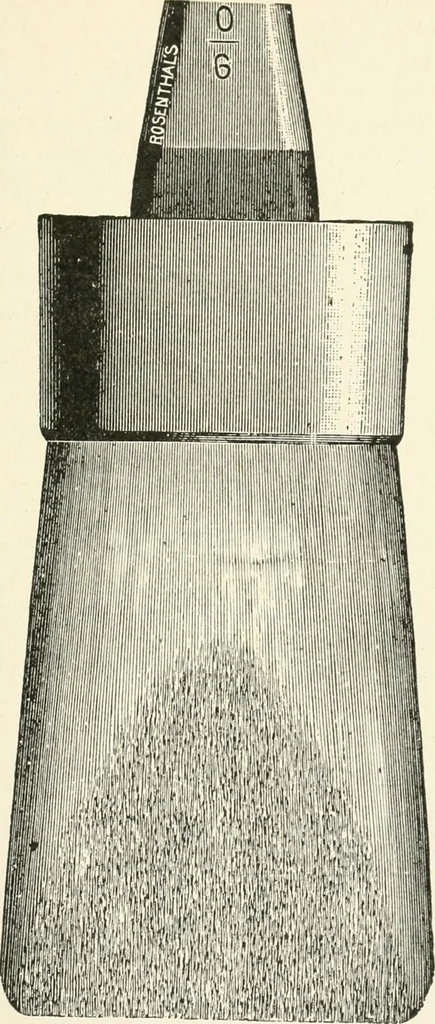 An illustration from Cyclopedia of painting : containing useful and valuable information on the following subjects : adulteration of paint, blistering of paint, brushes, calcimining, carriage painting, china painting, colors, color harmony, color mixing, color testing, exterior painting, gilding, graining, house painting, marbling, mildew, oils and driers, oil painting on glass, painting a bath tub, painting in distemper, paperhanger's tools, paperhanging, pigments, plain oil painting, primary colors, priming, scenic painting, sign painting, stains, staining, stencilling, turpentine, varnishes, varnishing, water color painting, when not to paint, practical points on painting, useful information, 1908, leaf 29