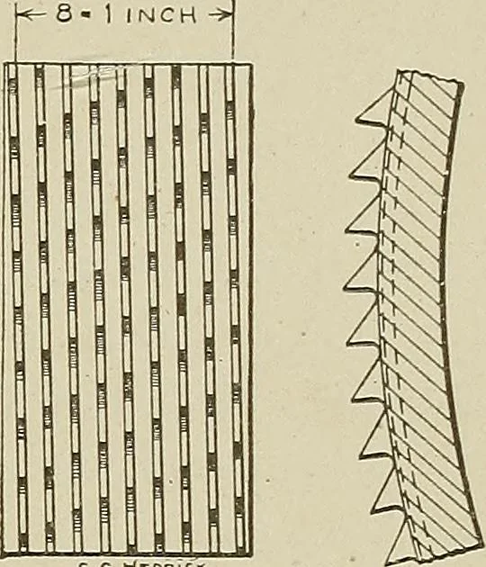An illustration from Cyclopedia of textile work : a general reference library on cotton, woolen and worsted yarn manufacture, weaving, designing, chemistry and dyeing, finishing, knitting, and allied subjects, 1911, leaf 145