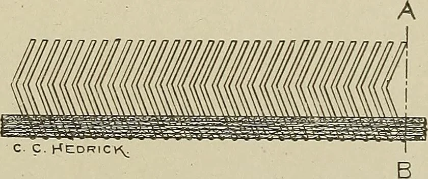 An illustration from Cyclopedia of textile work : a general reference library on cotton, woolen and worsted yarn manufacture, weaving, designing, chemistry and dyeing, finishing, knitting, and allied subjects, 1911, leaf 145