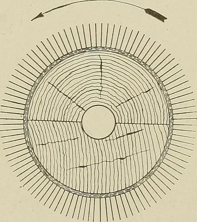 An illustration from Cyclopedia of textile work : a general reference library on cotton, woolen and worsted yarn manufacture, weaving, designing, chemistry and dyeing, finishing, knitting, and allied subjects, 1911, leaf 167