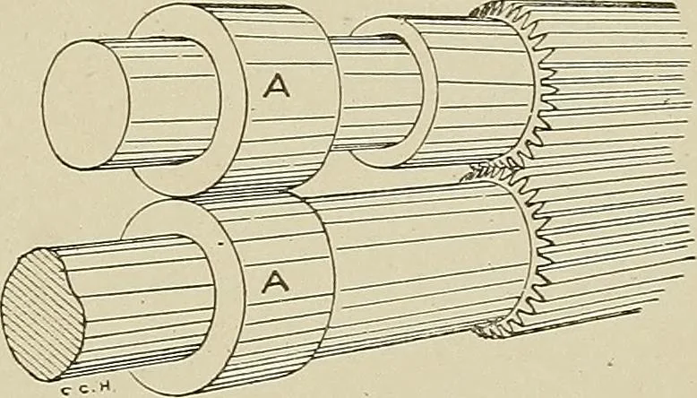 An illustration from Cyclopedia of textile work : a general reference library on cotton, woolen and worsted yarn manufacture, weaving, designing, chemistry and dyeing, finishing, knitting, and allied subjects, 1911, leaf 249