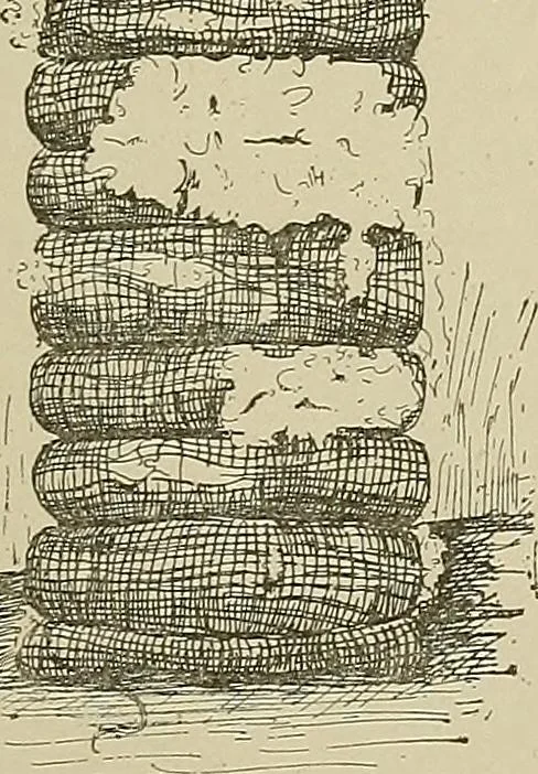 An illustration from Cyclopedia of textile work : a general reference library on cotton, woolen and worsted yarn manufacture, weaving, designing, chemistry and dyeing, finishing, knitting, and allied subjects, 1911, leaf 27