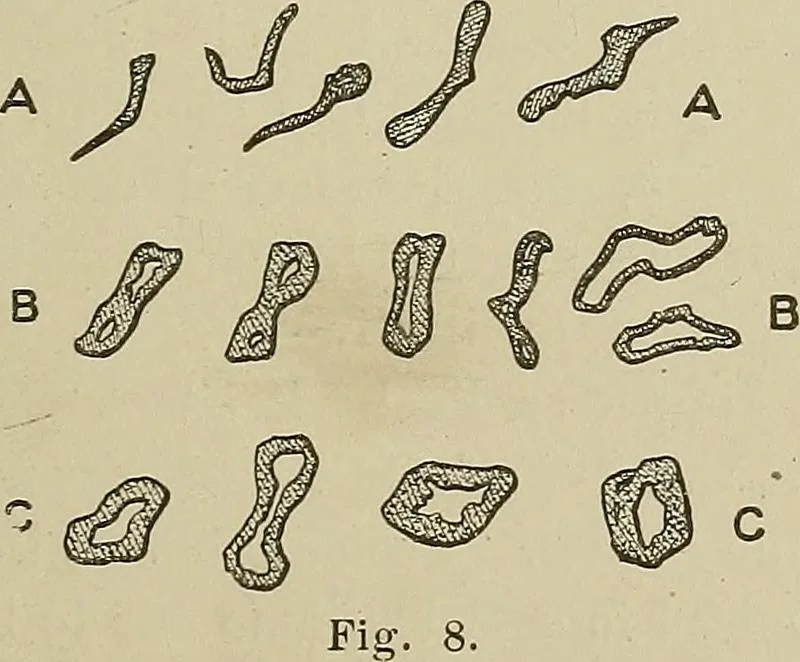 An illustration from Cyclopedia of textile work : a general reference library on cotton, woolen and worsted yarn manufacture, weaving, designing, chemistry and dyeing, finishing, knitting, and allied subjects, 1911, leaf 31