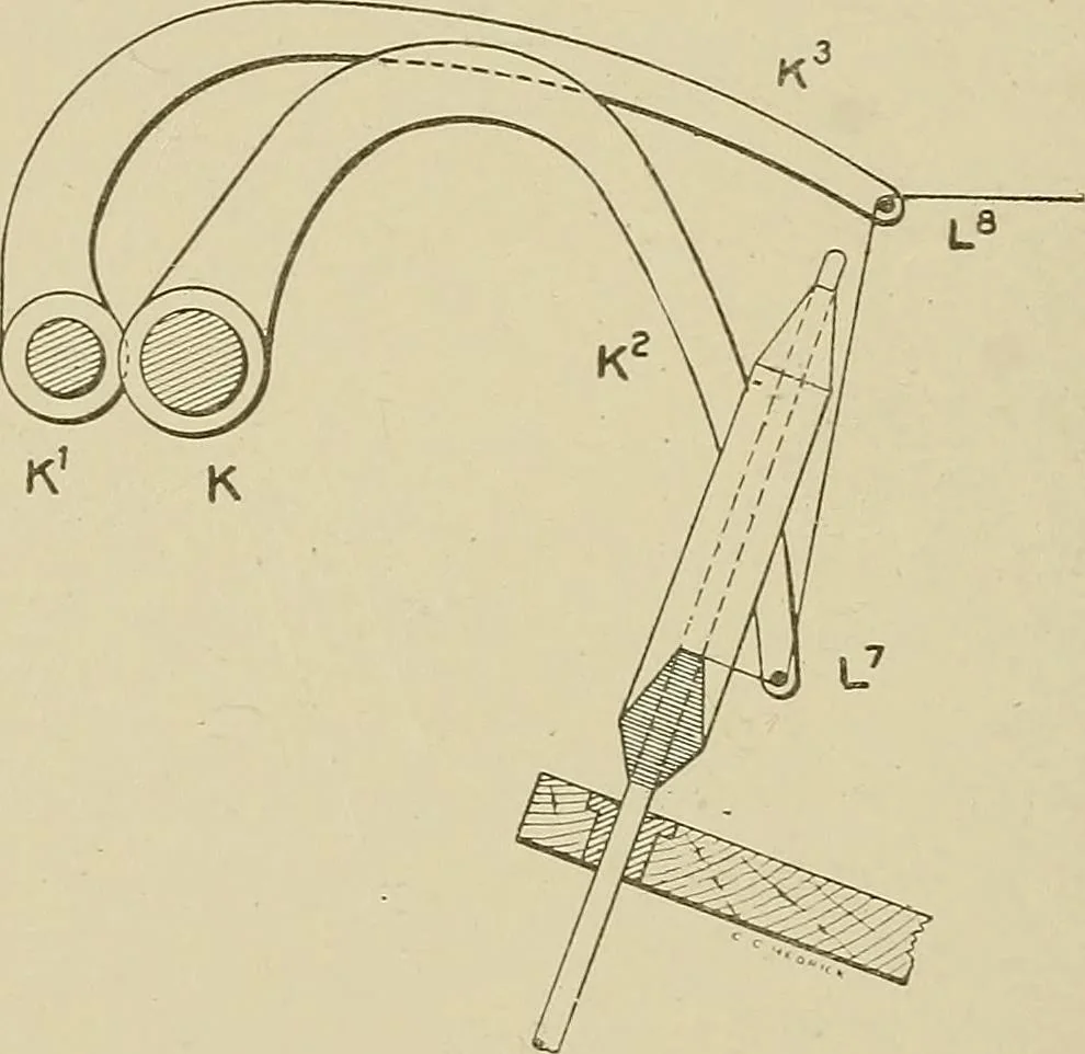 An illustration from Cyclopedia of textile work : a general reference library on cotton, woolen and worsted yarn manufacture, weaving, designing, chemistry and dyeing, finishing, knitting, and allied subjects, 1911, leaf 356