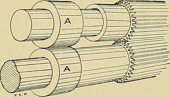 An illustration from Cyclopedia of textile work; a general reference library on cotton, woolen and worsted yarn manufacture, weaving, designing, chemistry and dyeing, finishing, knitting, and allied subjects, 1911, leaf 247