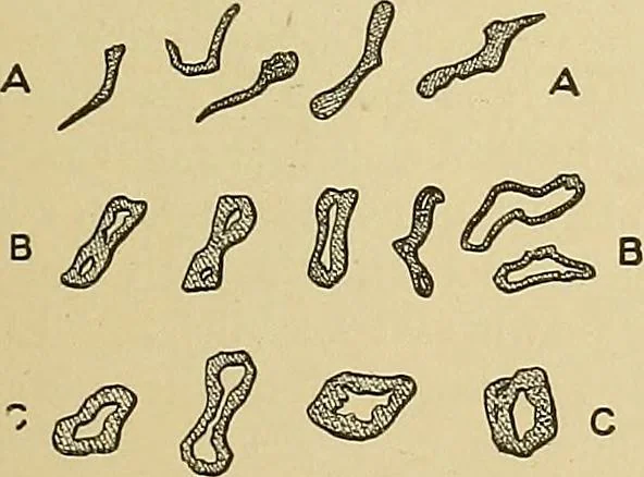 An illustration from Cyclopedia of textile work; a general reference library on cotton, woolen and worsted yarn manufacture, weaving, designing, chemistry and dyeing, finishing, knitting, and allied subjects, 1911, leaf 31