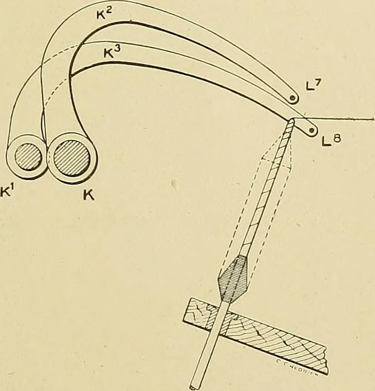 An illustration from Cyclopedia of textile work; a general reference library on cotton, woolen and worsted yarn manufacture, weaving, designing, chemistry and dyeing, finishing, knitting, and allied subjects, 1911, leaf 353