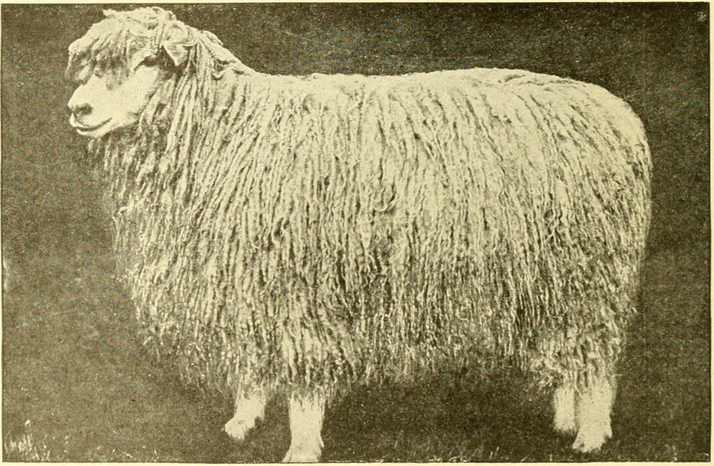 An illustration from Cyclopedia of textile work : a general reference library on cotton, woollen and worsted yarn manufacture, weaving, designing, chemistry and dyeing, finishing, knitting, and allied subjects, 1907, leaf 20