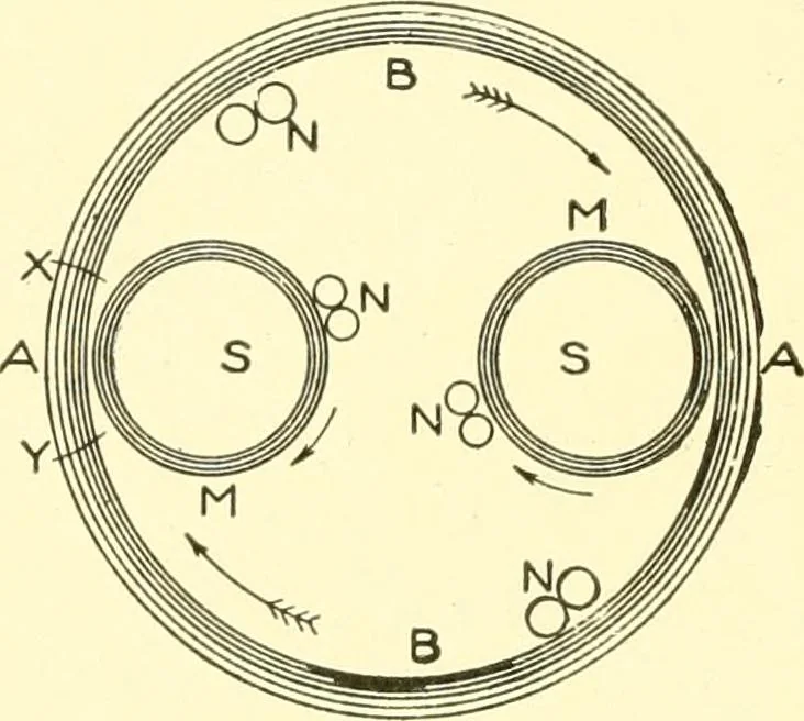 An illustration from Cyclopedia of textile work : a general reference library on cotton, woollen and worsted yarn manufacture, weaving, designing, chemistry and dyeing, finishing, knitting, and allied subjects, 1907, leaf 204