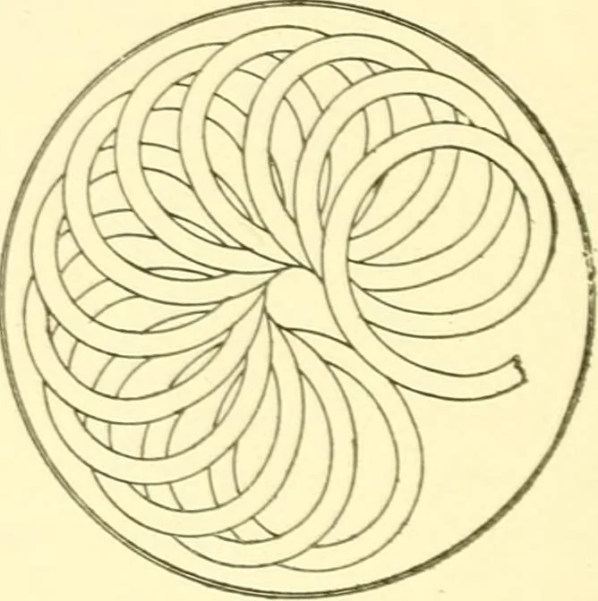 An illustration from Cyclopedia of textile work : a general reference library on cotton, woollen and worsted yarn manufacture, weaving, designing, chemistry and dyeing, finishing, knitting, and allied subjects, 1907, leaf 212