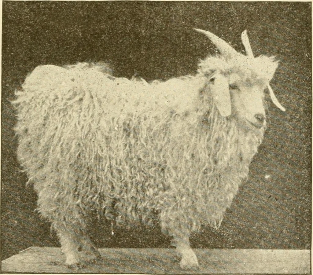 An illustration from Cyclopedia of textile work : a general reference library on cotton, woollen and worsted yarn manufacture, weaving, designing, chemistry and dyeing, finishing, knitting, and allied subjects, 1907, leaf 27