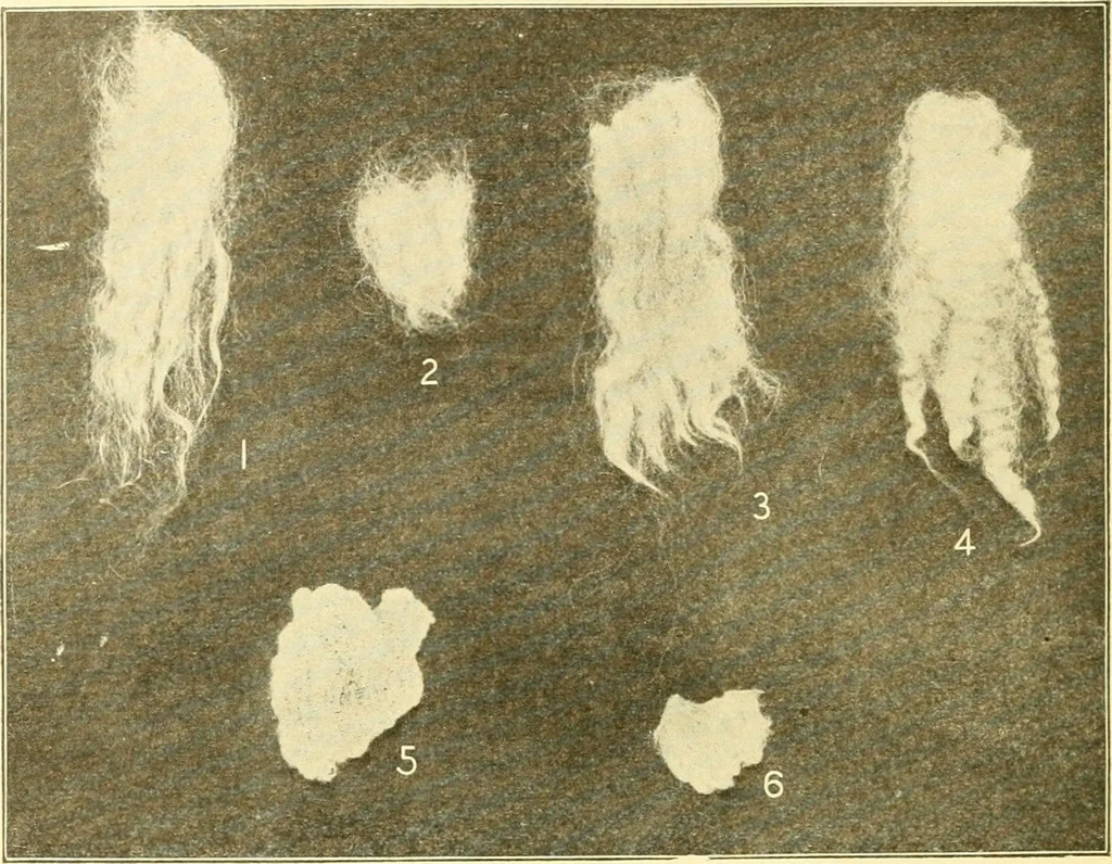 An illustration from Cyclopedia of textile work : a general reference library on cotton, woollen and worsted yarn manufacture, weaving, designing, chemistry and dyeing, finishing, knitting, and allied subjects, 1907, leaf 28