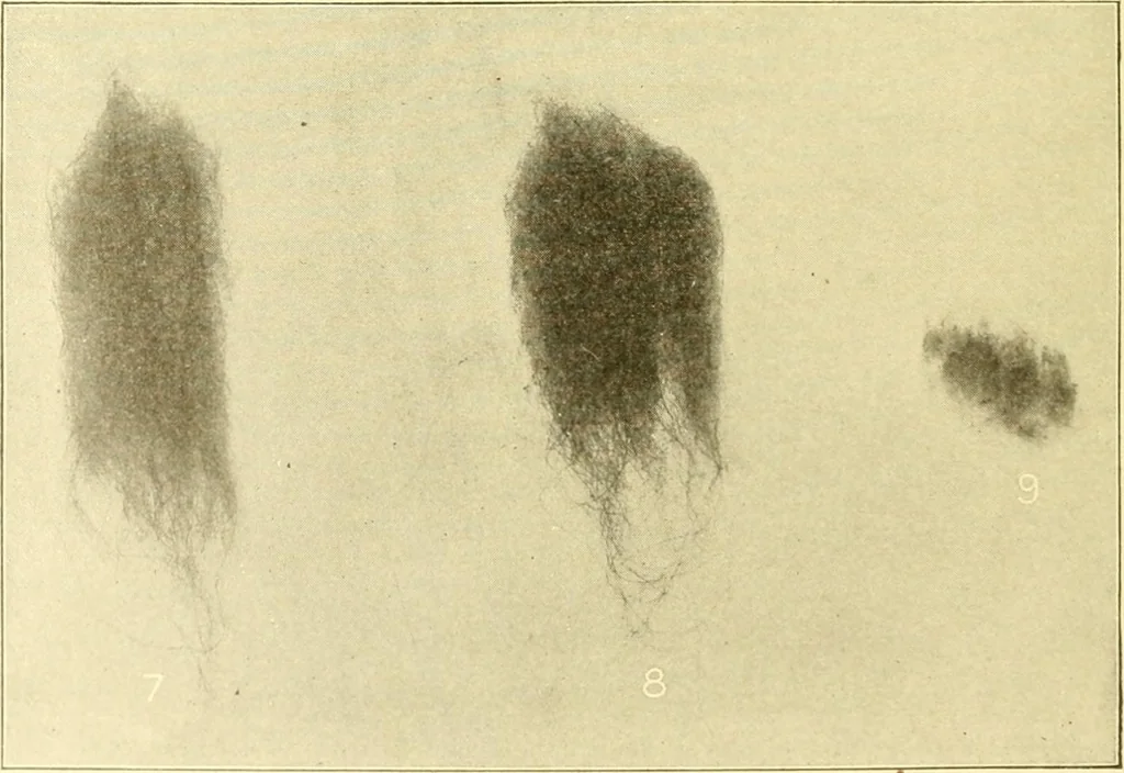 An illustration from Cyclopedia of textile work : a general reference library on cotton, woollen and worsted yarn manufacture, weaving, designing, chemistry and dyeing, finishing, knitting, and allied subjects, 1907, leaf 28
