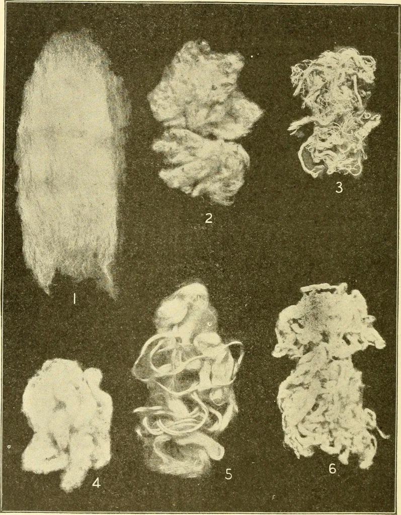 An illustration from Cyclopedia of textile work : a general reference library on cotton, woollen and worsted yarn manufacture, weaving, designing, chemistry and dyeing, finishing, knitting, and allied subjects, 1907, leaf 34