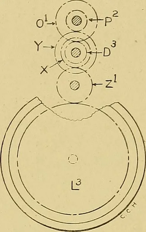 An illustration from Cyclopedia of textile work;, 1907, leaf 137