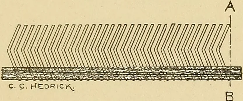 An illustration from Cyclopedia of textile work;, 1907, leaf 148